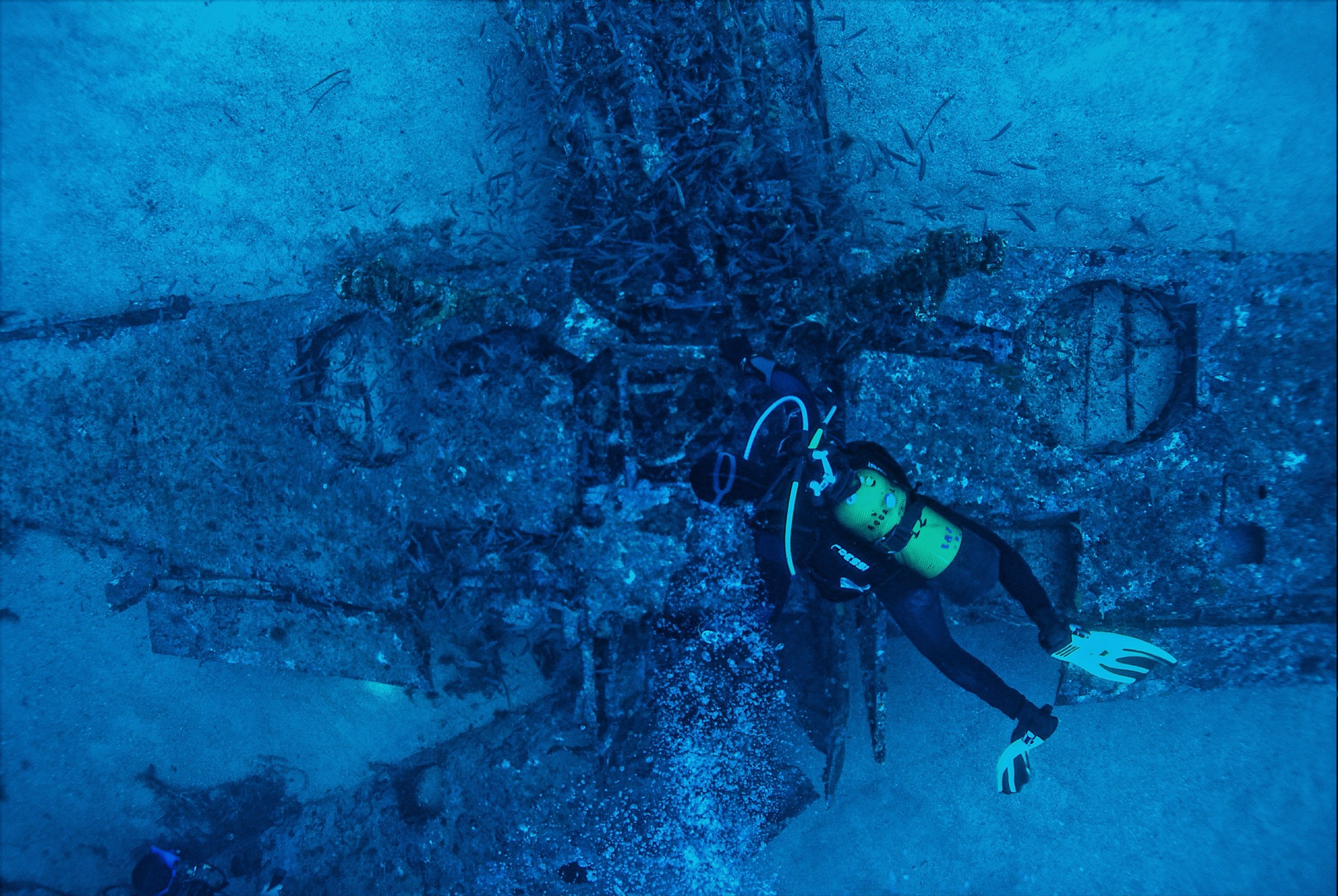 Coronado Wreck Dive